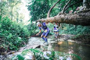 BIB: 
                            <button type="button" onclick="openModal(25436679)" class="btn btn-primary btn-sm float-right btn-popup" data-toggle="modal" data-target=".modal-high-quality">
                        <i class="fas fa-shopping-cart"></i> Add to Cart
                    </button>
                                            <button type="button" onclick="isThisMe(25436679, true)" class="btn btn-success btn-sm float-right btn-popup btn-isme hidden" data-toggle="tooltip" data-placement="bottom" title="นี่คือรูปของคุณใช่ไหม คลิกที่นี่เพื่อเอาเข้าอัลบั้ม">
                        <i class="fas fa-plus"></i> Add to album
                    </button>
                    <button type="button" onclick="isThisMe(25436679, false)" class="btn btn-warning btn-sm float-right btn-popup btn-isnotme hidden">
                        <i class="fas fa-ban"></i> Remove from album
                    </button>